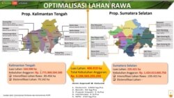 Rencana Optimalisasi Lahan Rawa di Kalimantan Tengah dan Sumatera Selatan seluas 400 ribu hektare yang dipaparkan oleh Menteri Pertanian Syahrul Yasin Limpo dalam diskusi virtual "Stok Beras di Masa Pandemi dan Setelahnya", 19 Mei 2020. (Foto: Screenshot)