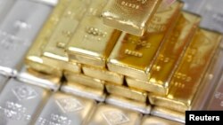 An employee picks up a gold bar at the Austrian Gold and Silver Separating Plant 'Oegussa' in Vienna August 26, 2011. Oegussa processes some 100 tons of various precious metals and generates a turnover of 300 million euros a year. REUTERS/Lisi Niesner (A