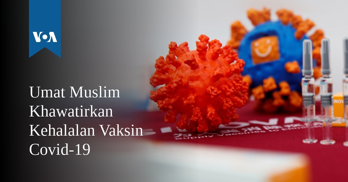 Islam hukum vaksin menurut Bagaimana Hukum