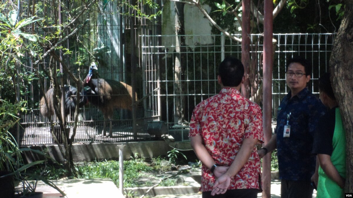 Walikota Solo Serahkan 2 Satwa Langka Miliknya Ke Bksda