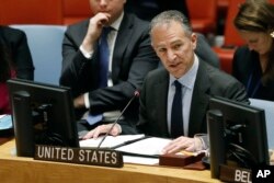 Acting Permanent Representative of the United States Jonathan Cohen addresses the United Nations Security Council, at U.N. headquarters, Jan. 22, 2019.