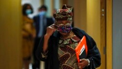 DireKta Janar WTO, Ngozi Okonjo-Iweala