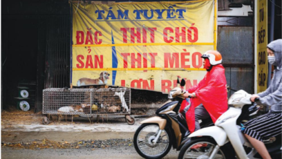 Một nhà hàng bán thịt chó, mèo ở Việt Nam. Đặc sản thịt mèo, còn gọi là "tiểu hổ" đã khiến hoạt động buôn bán mèo trở nên lan rộng trên khắp Việt Nam, gây lo ngại về việc trở thành nguồn lây nhiễm những đại dịch như COVID-19 trong tương lai. (Photo by FOUR PAWS)