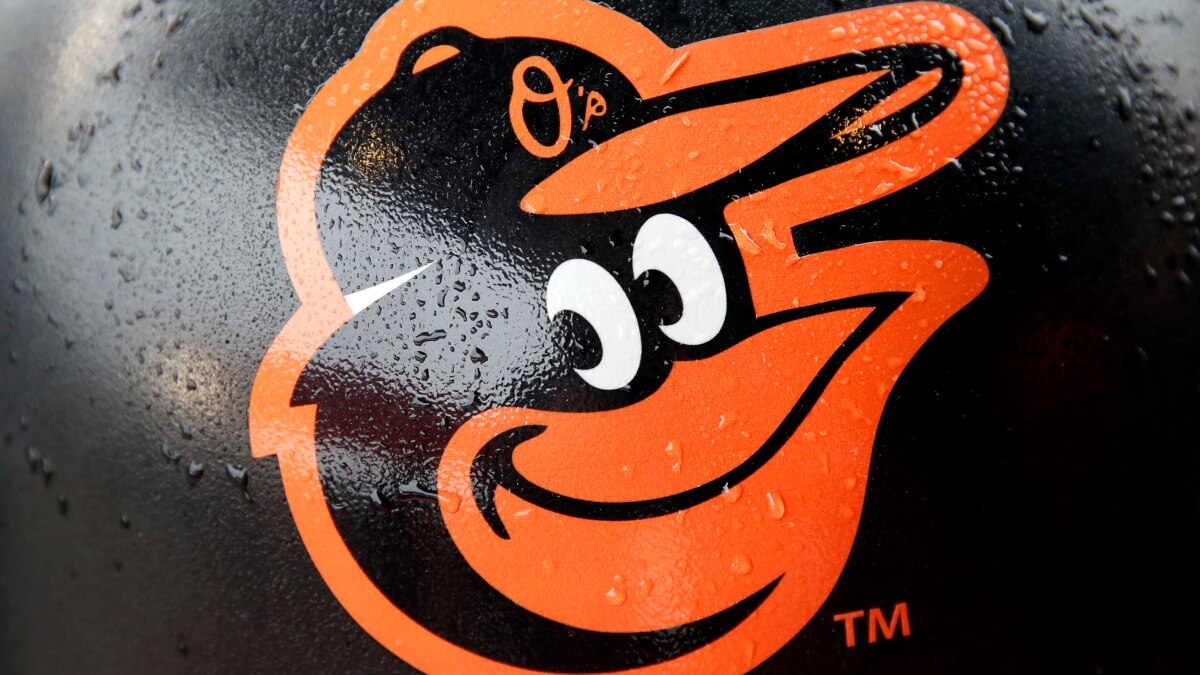 Orioles Projects  Photos, videos, logos, illustrations and