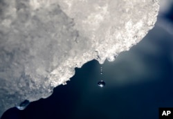 FILE - A drop of water falls off an iceberg melting in the Nuup Kangerlua Fjord near Nuuk in southwestern Greenland, Aug. 1, 2017.