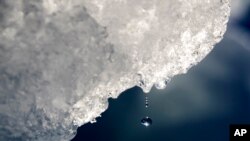 FILE - A drop of water falls off an iceberg melting in the Nuup Kangerlua Fjord near Nuuk in southwestern Greenland, Aug. 1, 2017.