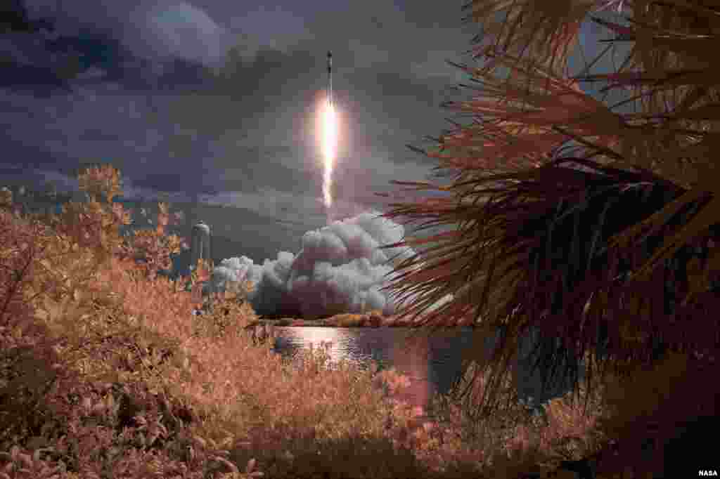 A SpaceX Falcon 9 rocket amd Crew Dragon spacecraft carrying NASA astronauts Robert Behnken and Douglas Hurley lifts off in this false color infrared exposure at the NASA’s Kennedy Space Center in Cape Canaveral, Florida, May 30, 2020.