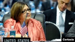 La embajadora de EE.UU. ante la OEA, Carmen Lomellin, reiteró el compromiso de Estados unidos con la seguridad alimentaria en Latinoamérica y el Caribe [Foto: OEA]