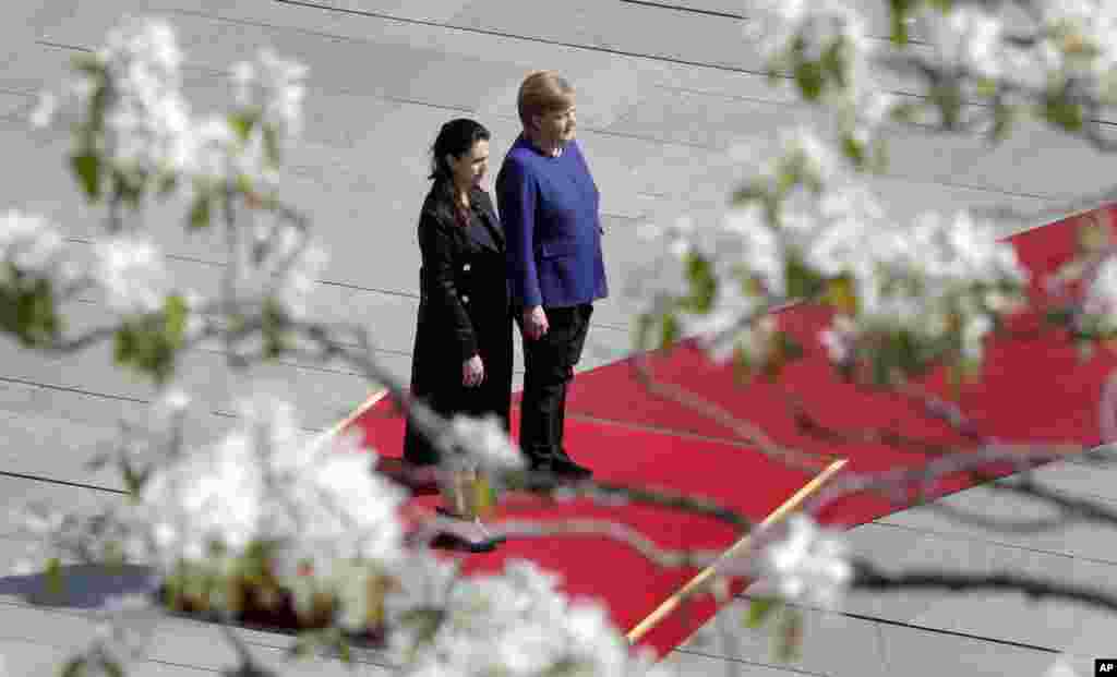 꽃 사이로 앙겔라 메르켈 독일 총리와 베를린을 방문한 제이신더 아던 총리의 모습이 보인다.