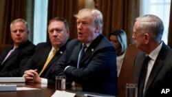 President Donald Trump speaks during a cabinet meeting at the White House, June 21, 2018, in Washington. From left, Deputy Secretary of Interior David Bernhardt, Secretary of State Mike Pompeo, Trump, and Secretary of Defense Jim Mattis.