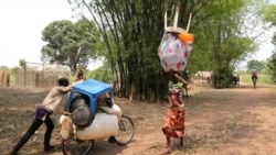 Angolanos expulsos como congoelses regressam à Lunda Norte - 2:20