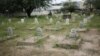 Namibia'da Alman askerlerinin gömülü olduğu mezarlık.