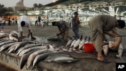 Workers cut shark fins at a fish market in Dubai , United Arab Emirates. (June 12, 2012)