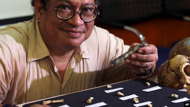 Filipino archeologist Armand Salvador Mijares shows bones and teeth they recovered from Callao Cave belonging to a new specie they called Homo luzonensis during a press conference in metropolitan Manila, Philippines on Thursday, April 11, 2019. (AP Photo)