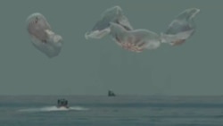 In this frame grab from NASA TV, the SpaceX capsule splashes down Sunday, Aug. 2, 2020 in the Gulf of Mexico. (NASA TV via AP)