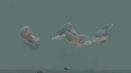 In this frame grab from NASA TV, the SpaceX capsule splashes down Sunday, Aug. 2, 2020 in the Gulf of Mexico. (NASA TV via AP)