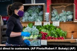 In this Thursday, May 28, 2020 photo, Amanda Labelle of Dandelion Spring Farm fills a cart for a farmer's market customer in Rockland, Maine. (AP Photo)