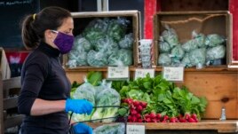 In this Thursday, May 28, 2020 photo, Amanda Labelle of Dandelion Spring Farm fills a cart for a farmer's market customer in Rockland, Maine. (AP Photo)
