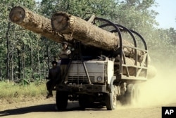 A truck carries logs in Preah Vihear province, 245 kilometers north of Phnom Penh, Cambodia.