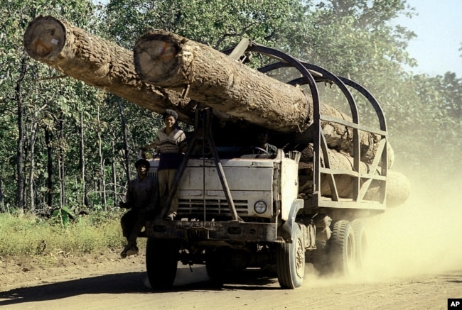 A truck carries logs in Preah Vihear province, 245 kilometers north of Phnom Penh, Cambodia.