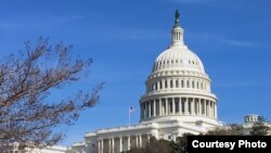 The U.S. Capitol Building as seen Feb., 5, 2019. (photo: Diaa Bekheet)