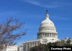 The U.S. Capitol Building as seen Feb., 5, 2019. (photo: Diaa Bekheet)