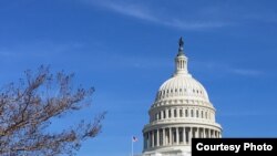 The U.S. Capitol Building as seen Feb., 5, 2019. (