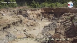 Documental expone las devastadoras consecuencias de la minería ilegal en Venezuela
