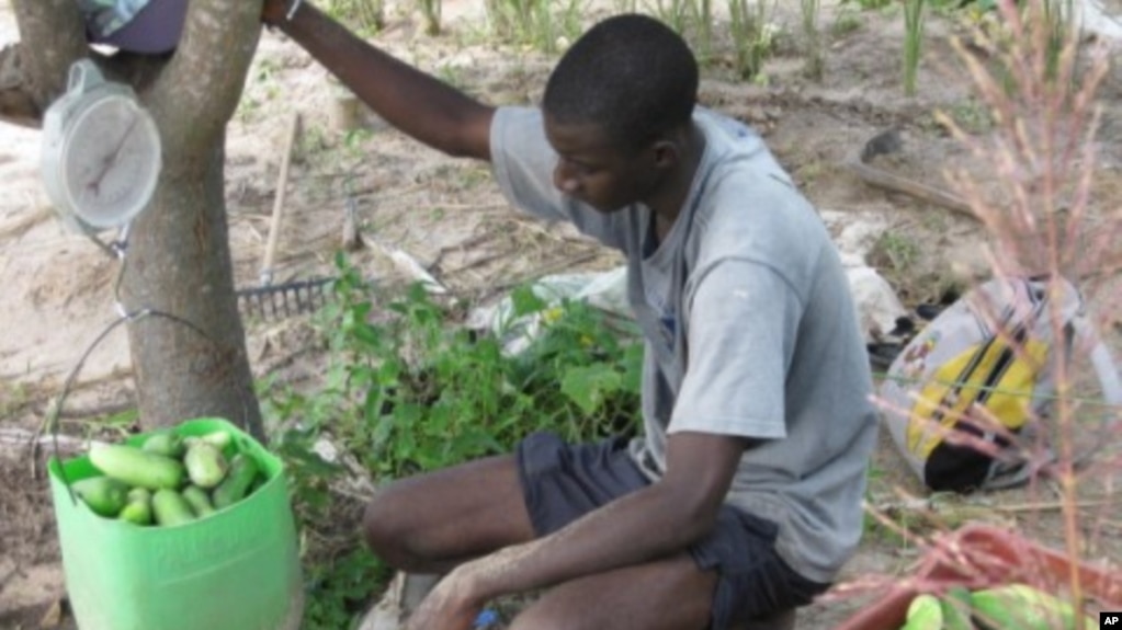 competition essay essay competition african