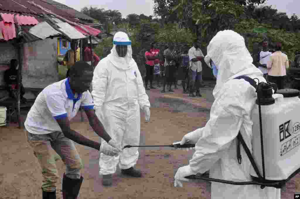 JEUDI. Fin de l'épisode d'Ebola au Liberia, dernier pays d'Afrique de l'Ouest encore touché. Le ministère libérien de la Santé et l'Organisation mondiale de la Santé (OMS) a annoncé la fin de la dernière résurgence d'Ebola au Liberia, ultime pays encore touché par l'épidémie qui a ravagé une partie de l'Afrique de l'Ouest. Lire la suite ici.
