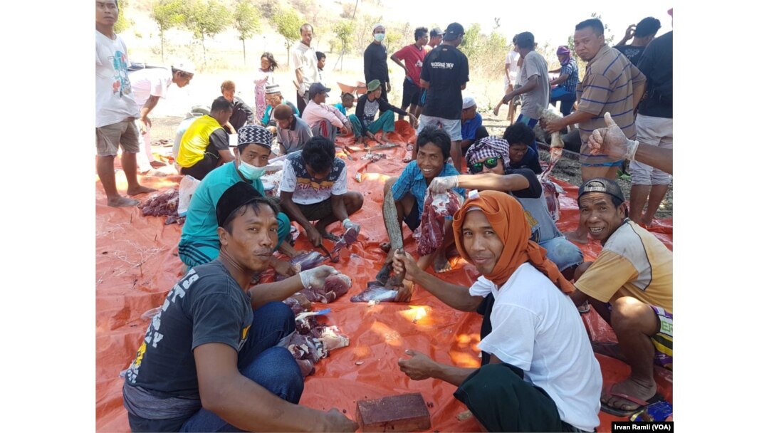 Pengungsi berkumpul mengurus daging kurban di pos pengungsian lapangan Mentigi, Lombok Utara, Rabu 22 Agustus 2018. (Foto:VOA/Irvan Ramli)