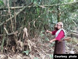 Mardiana di sekitar tanaman rotan (foto: courtesy).