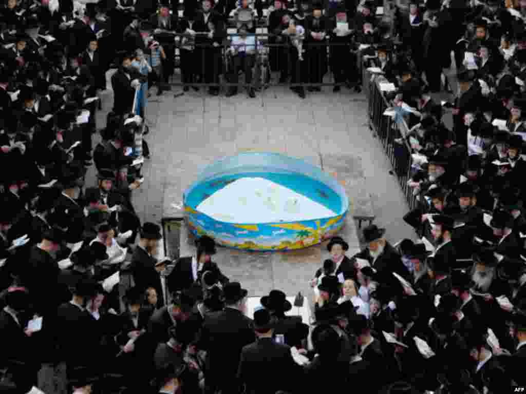 Ultra-Orthodox Jewish men stand around a plastic pool containing fish as they perform the Tashlich ritual outside their seminary, Nadvorna Yeshiva, in Bnei Brak, near Tel Aviv October 6, 2011, ahead of Yom Kippur, the Jewish Day of Atonement, which starts