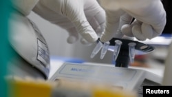 11 Haziran 2020 - Saint Petersburg, Rusya'da Corona virüsüne karşı aşı çalışmalarının yapıldığı bir laboratuvar