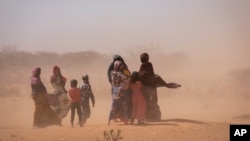 FILE - Women and children walk amidst strong dusty winds near Sagalo village in the Korahe zone of the Somali region of Ethiopia, Jan. 21, 2022. 