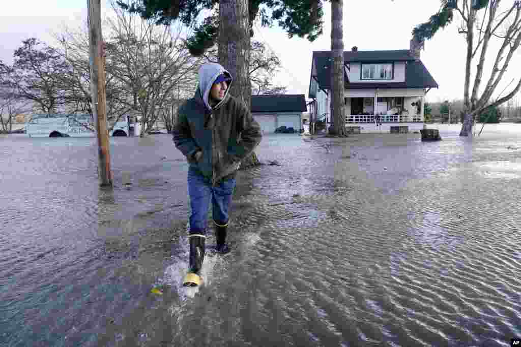 Benjamin Lopez walks through floodwater surrounding his parents home, Nov. 15, 2021, in Sedro-Woolley, Washington.