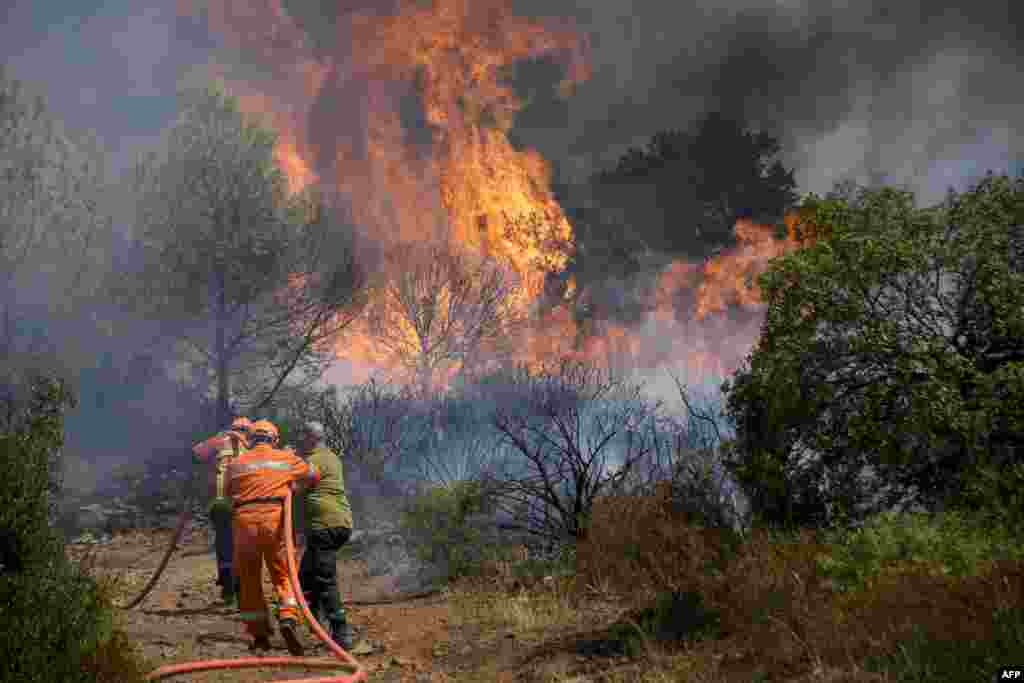 Firefighters put out a forest fire in Gonfaron, in the French department of Var, southern France.