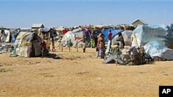 Drought-hit families set up makeshift structures in Garowe town, the capital city of Somalia's semiautonomous region of Puntland, February 2, 2011