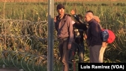 Refugees at Hungary's newly fortified razor wire fence on Serbian border. 