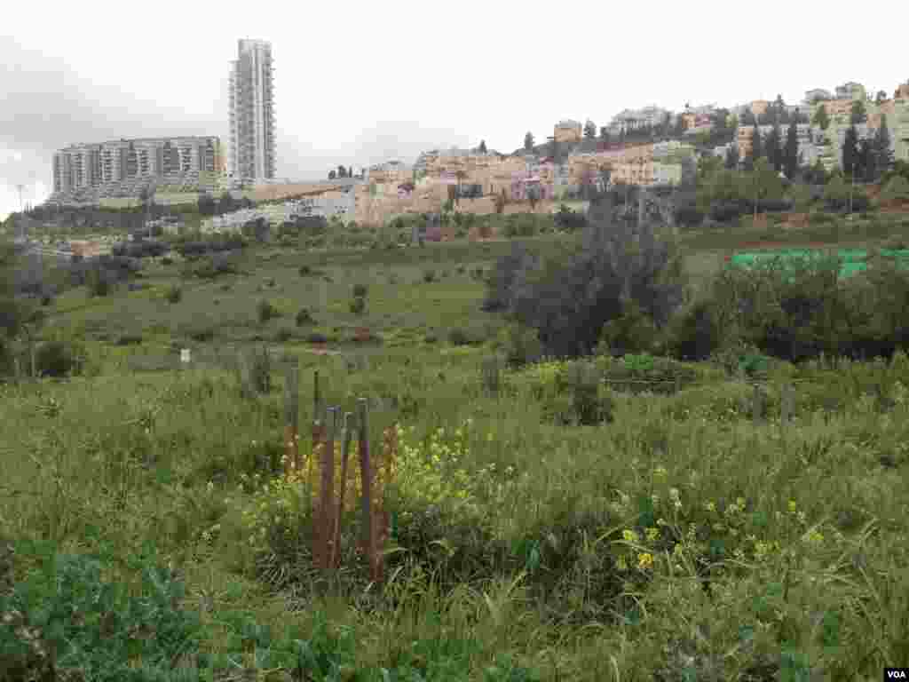 Gazelle Valley Park, Jerusalem, April 8, 2015. (M. Lipin/VOA)