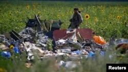 The crash site of Malaysia Airlines Flight MH17, near the village of Rozsypne, Donetsk region July 22, 2014.