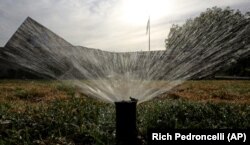 FILE: Sprinklers water a grass lawn on July 15, 2014, in Sacramento, Calif.