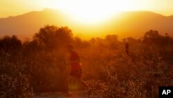 FILE - A man runs through the desert at sunrise, June 16, 2017, in Phoenix, Arizona.