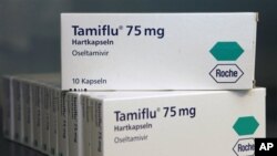 Packages of the medicine Tamiflu by Swiss pharmaceutical company Roche.