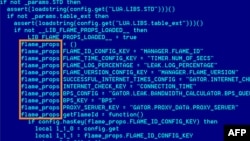 This undated screen grab taken released by the Kaspersky Lab site shows code related to the computer virus known as Flame. 