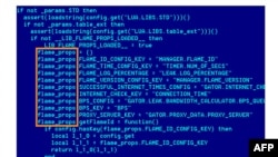 This undated screen grab taken released by the Kaspersky Lab site shows code related to the computer virus known as Flame. 