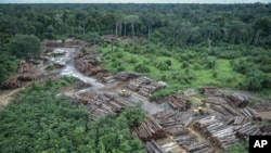 FILE - This May 8, 2018 photo released by the Brazilian Environmental and Renewable Natural Resources Institute (Ibama) shows an illegally deforested area on Pirititi indigenous lands as Ibama agents inspect Roraima state in Brazil's Amazon basin.