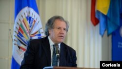 Los expresidentes respaldaron la invocación hecha por el secretario general de la OEA, Luis Almagro, del artículo 20 de la Carta Democrática Interamericana por la situación en Venezuela.
