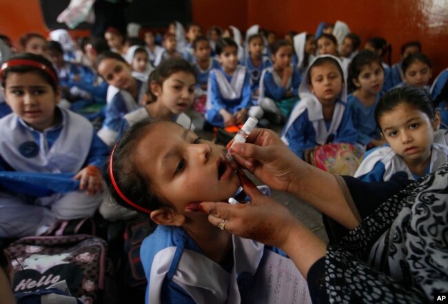 FILE - A health worker gives a polio vaccination to students in Peshawar, Pakistan, April 22, 2019.