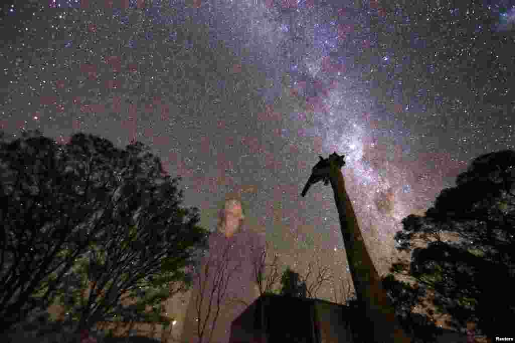 May McKeown looks at the stars as she stands in the front yard of her 6000-acre (2400 hectare) property of &#39;Long View&#39; near the town of Come-by-Chance, located over 700 kilometers north-west of Sydney, Australia.